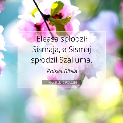 1 Kronik 2:40 Werset Biblijny Wyjaśniony