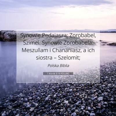 1 Kronik 3:19 POLUBG Obraz Wersetu Biblijnego