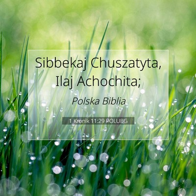 1 Kronik 11:29 POLUBG Obraz Wersetu Biblijnego