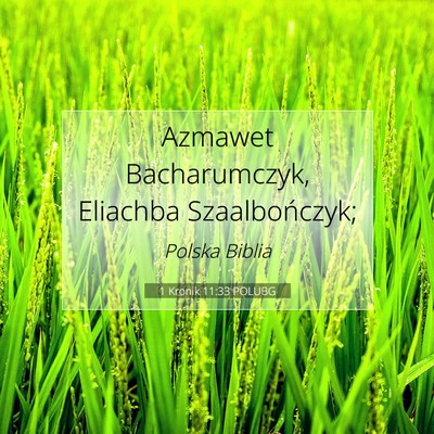 1 Kronik 11:33 Werset Biblijny Wyjaśniony