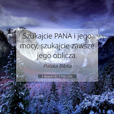 1 Kronik 16:11 POLUBG Obraz Wersetu Biblijnego