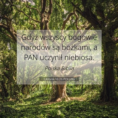 1 Kronik 16:26 Werset Biblijny Wyjaśniony