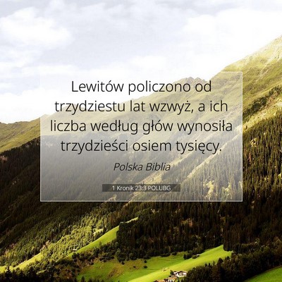 1 Kronik 23:3 POLUBG Obraz Wersetu Biblijnego