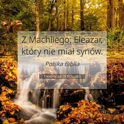 1 Kronik 24:28 Werset Biblijny Wyjaśniony
