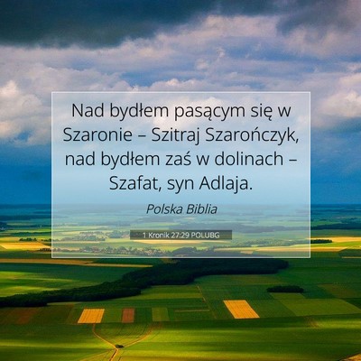 1 Kronik 27:29 POLUBG Obraz Wersetu Biblijnego
