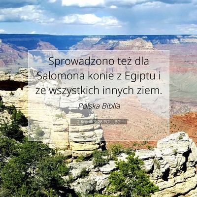 2 Kronik 9:28 Werset Biblijny Wyjaśniony