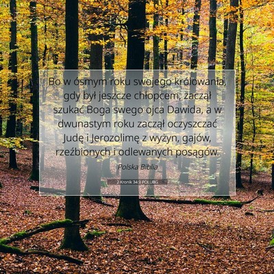 2 Kronik 34:3 POLUBG Obraz Wersetu Biblijnego