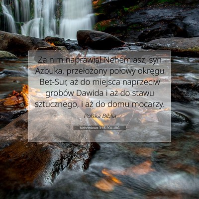 Nehemiasza 3:16 Werset Biblijny Wyjaśniony