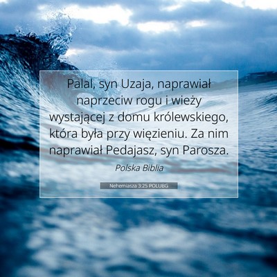 Nehemiasza 3:25 Werset Biblijny Wyjaśniony