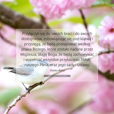 Nehemiasza 10:29 POLUBG Obraz Wersetu Biblijnego