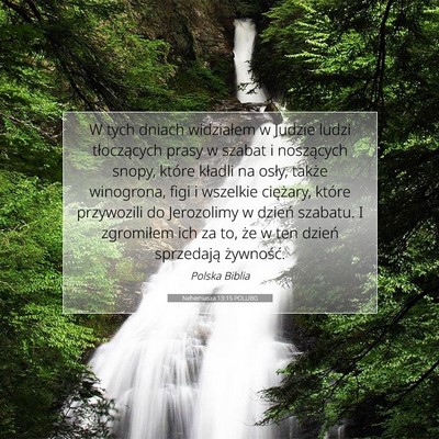 Nehemiasza 13:15 POLUBG Obraz Wersetu Biblijnego