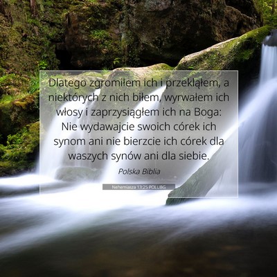 Nehemiasza 13:25 POLUBG Obraz Wersetu Biblijnego