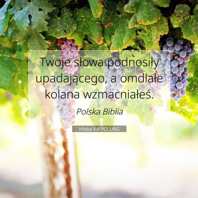 Hioba 4:4 POLUBG Obraz Wersetu Biblijnego