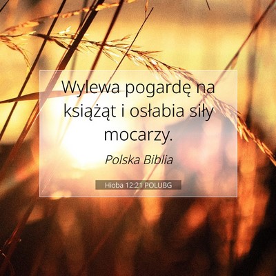 Hioba 12:21 POLUBG Obraz Wersetu Biblijnego