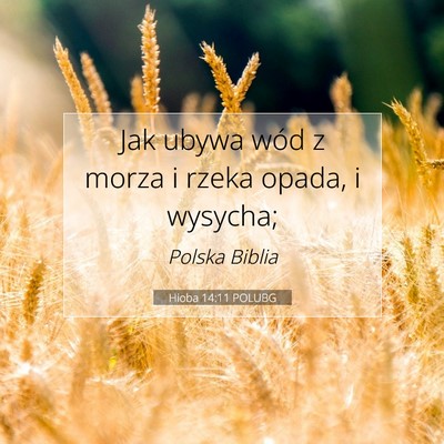 Hioba 14:11 Werset Biblijny Wyjaśniony