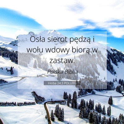 Hioba 24:3 POLUBG Obraz Wersetu Biblijnego