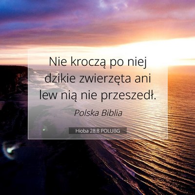 Hioba 28:8 POLUBG Obraz Wersetu Biblijnego