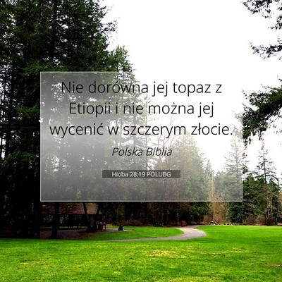 Hioba 28:19 Werset Biblijny Wyjaśniony
