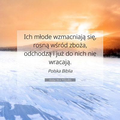 Hioba 39:4 Werset Biblijny Wyjaśniony