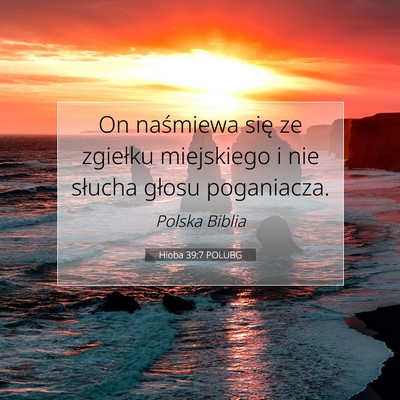 Hioba 39:7 POLUBG Obraz Wersetu Biblijnego