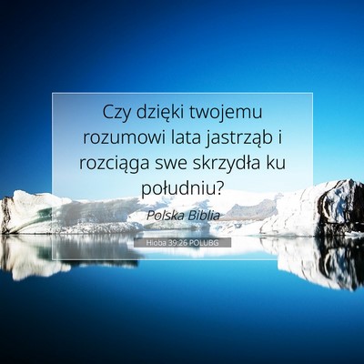 Hioba 39:26 POLUBG Obraz Wersetu Biblijnego
