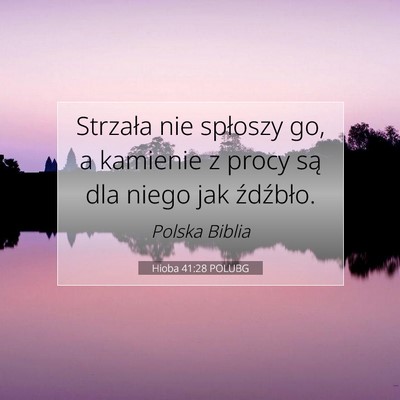 Hioba 41:28 Werset Biblijny Wyjaśniony