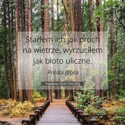 Psalmów 18:42 POLUBG Obraz Wersetu Biblijnego