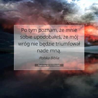 Psalmów 41:11 POLUBG Obraz Wersetu Biblijnego
