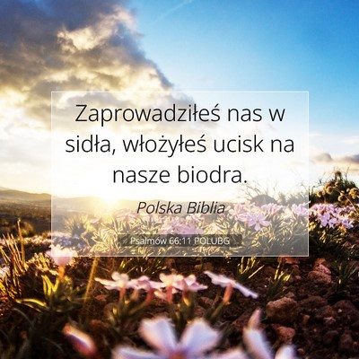 Psalmów 66:11 POLUBG Obraz Wersetu Biblijnego