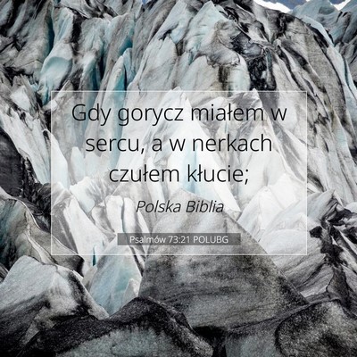 Psalmów 73:21 POLUBG Obraz Wersetu Biblijnego
