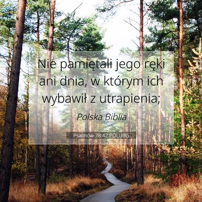 Psalmów 78:42 POLUBG Obraz Wersetu Biblijnego