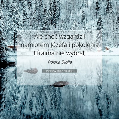 Psalmów 78:67 POLUBG Obraz Wersetu Biblijnego