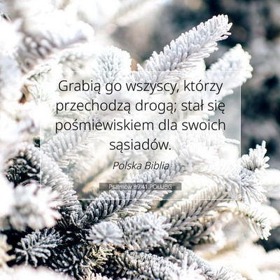 Psalmów 89:41 POLUBG Obraz Wersetu Biblijnego