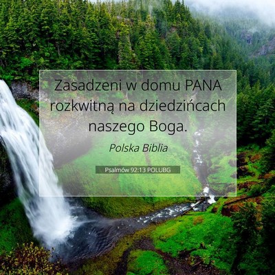 Psalmów 92:13 POLUBG Obraz Wersetu Biblijnego