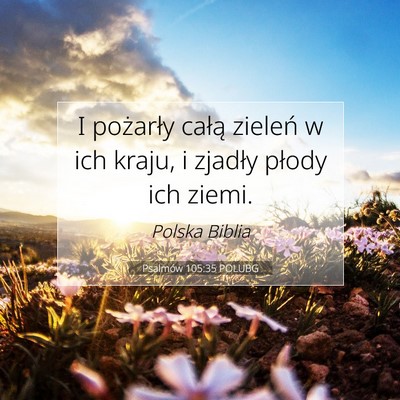 Psalmów 105:35 Werset Biblijny Wyjaśniony