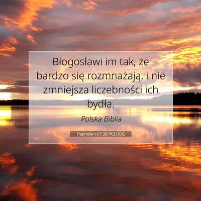 Psalmów 107:38 POLUBG Obraz Wersetu Biblijnego