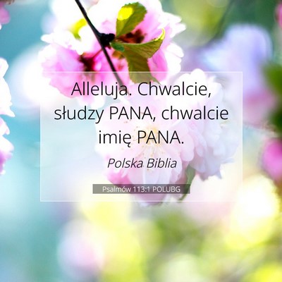 Psalmów 113:1 Werset Biblijny Wyjaśniony