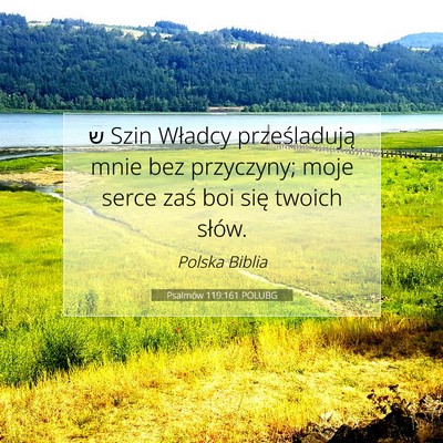 Psalmów 119:161 POLUBG Obraz Wersetu Biblijnego