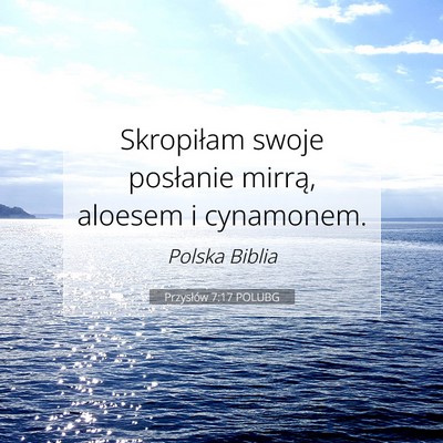 Przysłów 7:17 Werset Biblijny Wyjaśniony