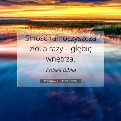 Przysłów 20:30 Werset Biblijny Wyjaśniony