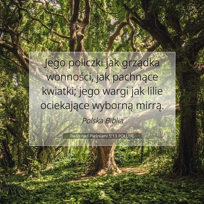 Pieśń nad Pieśniami 5:13 POLUBG Obraz Wersetu Biblijnego