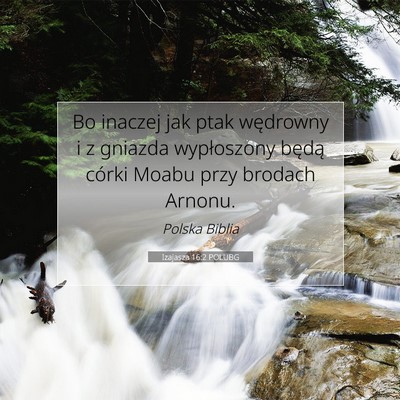 Izajasza 16:2 POLUBG Obraz Wersetu Biblijnego