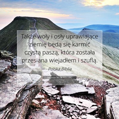 Izajasza 30:24 POLUBG Obraz Wersetu Biblijnego
