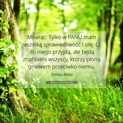 Izajasza 45:24 POLUBG Obraz Wersetu Biblijnego