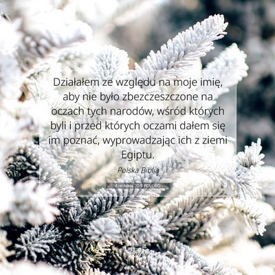 Ezechiela 20:9 POLUBG Obraz Wersetu Biblijnego