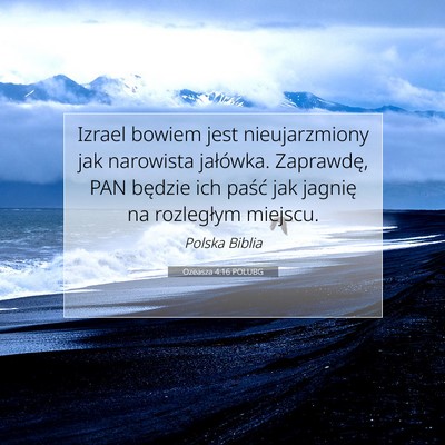 Ozeasza 4:16 POLUBG Obraz Wersetu Biblijnego