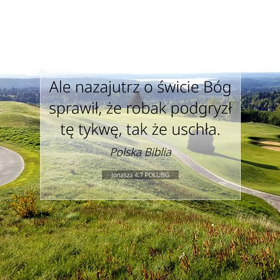 Jonasza 4:7 POLUBG Obraz Wersetu Biblijnego