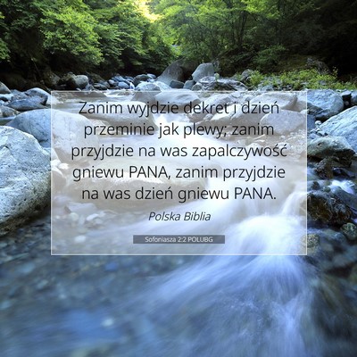 Sofoniasza 2:2 POLUBG Obraz Wersetu Biblijnego