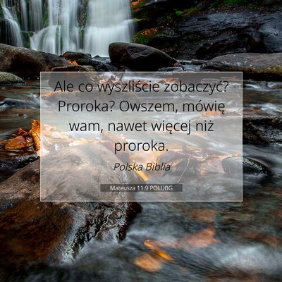 Mateusza 11:9 Werset Biblijny Wyjaśniony
