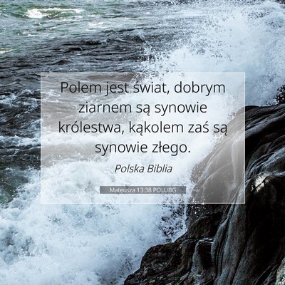 Mateusza 13:38 POLUBG Obraz Wersetu Biblijnego